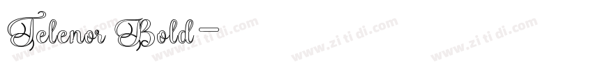 Telenor Bold字体转换